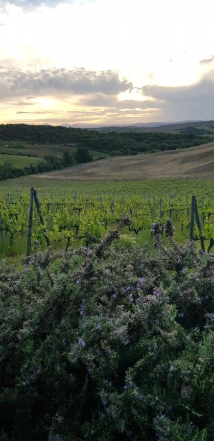 Agriturismo Bagnaia San Quirico d'Orcia Eksteriør billede