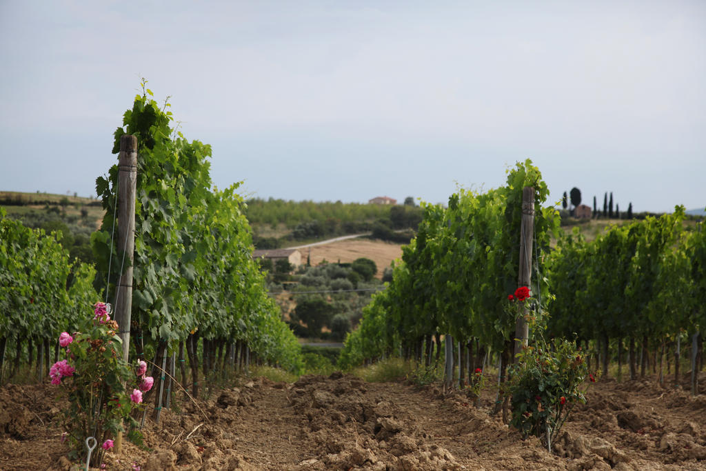Agriturismo Bagnaia San Quirico d'Orcia Eksteriør billede