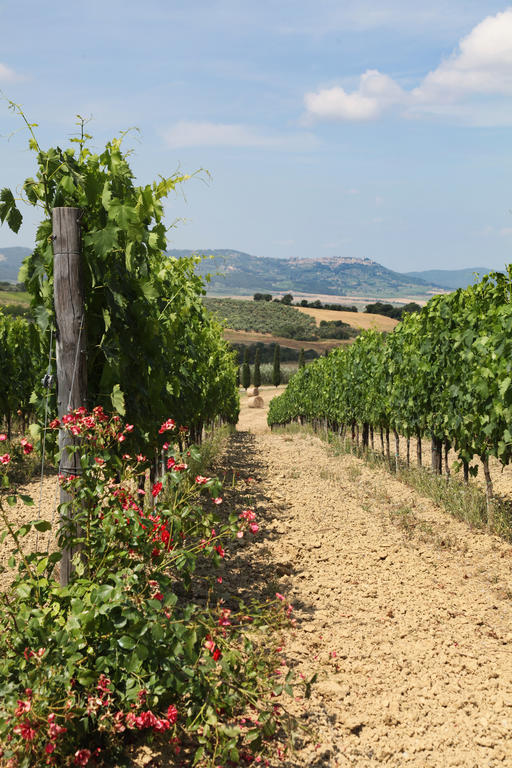 Agriturismo Bagnaia San Quirico d'Orcia Eksteriør billede