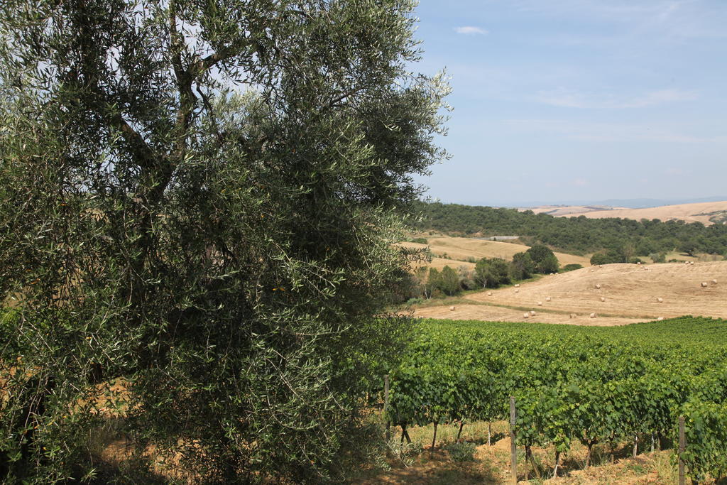 Agriturismo Bagnaia San Quirico d'Orcia Eksteriør billede