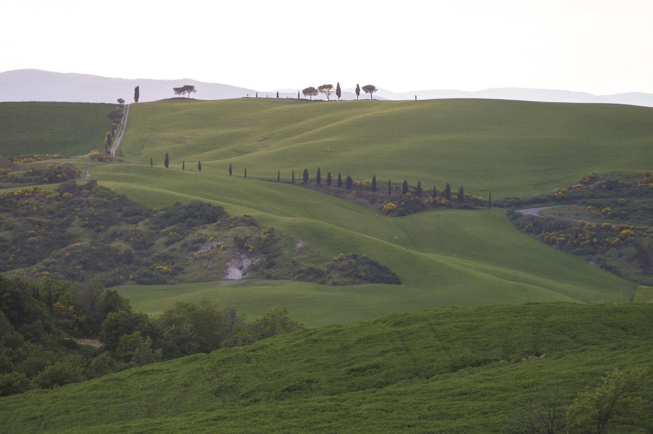 Agriturismo Bagnaia San Quirico d'Orcia Eksteriør billede