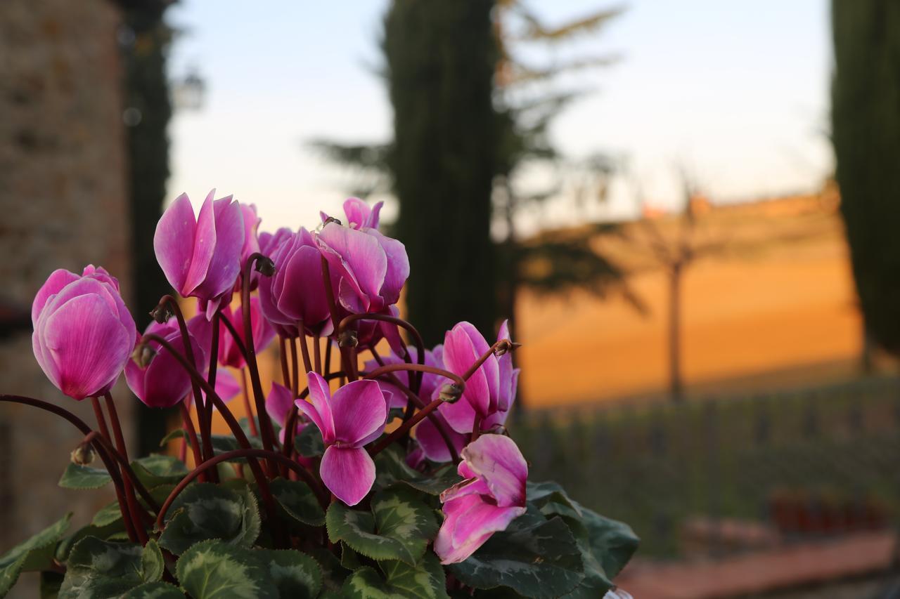 Agriturismo Bagnaia San Quirico d'Orcia Eksteriør billede