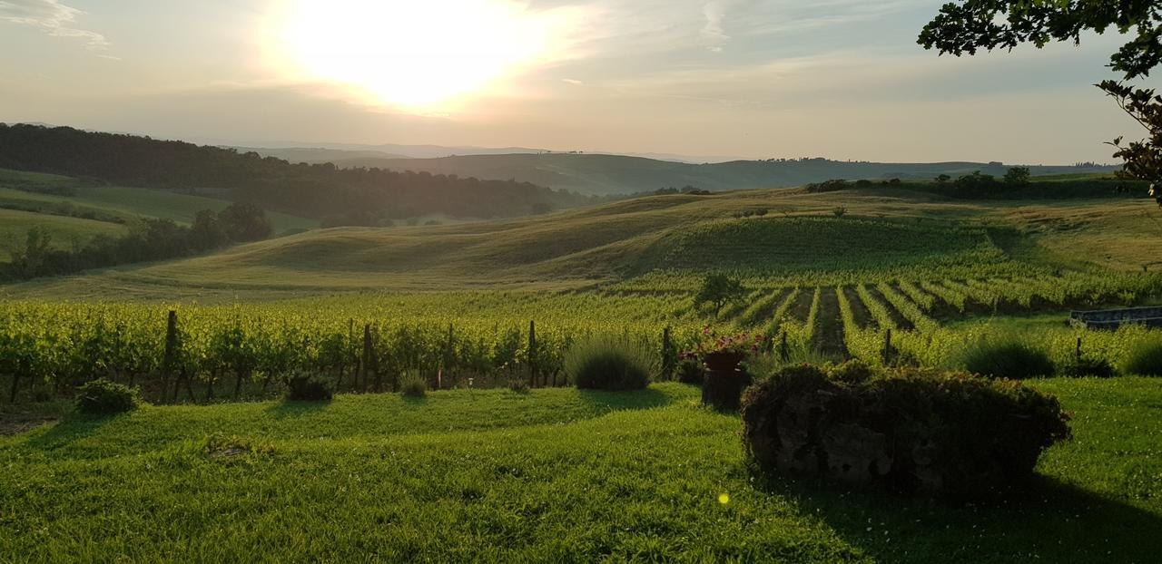 Agriturismo Bagnaia San Quirico d'Orcia Eksteriør billede